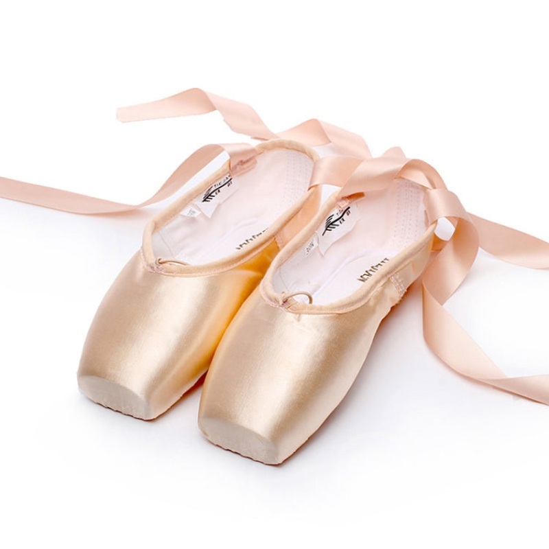 Ballet Lace Pointe Shoes Professional Flat Dance Shoes (Size 39 satin nude)