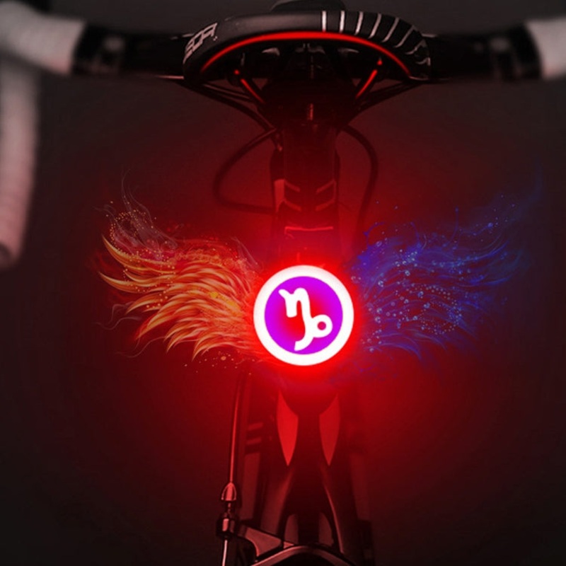 USB Charging Capricorn Style Riding Light Rear Lamp Safety Warning Light (Red Blue)