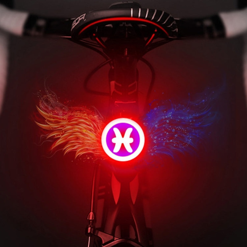 USB Charging Rear Lamp Safety Warning Light Pisces Style (Red Blue)